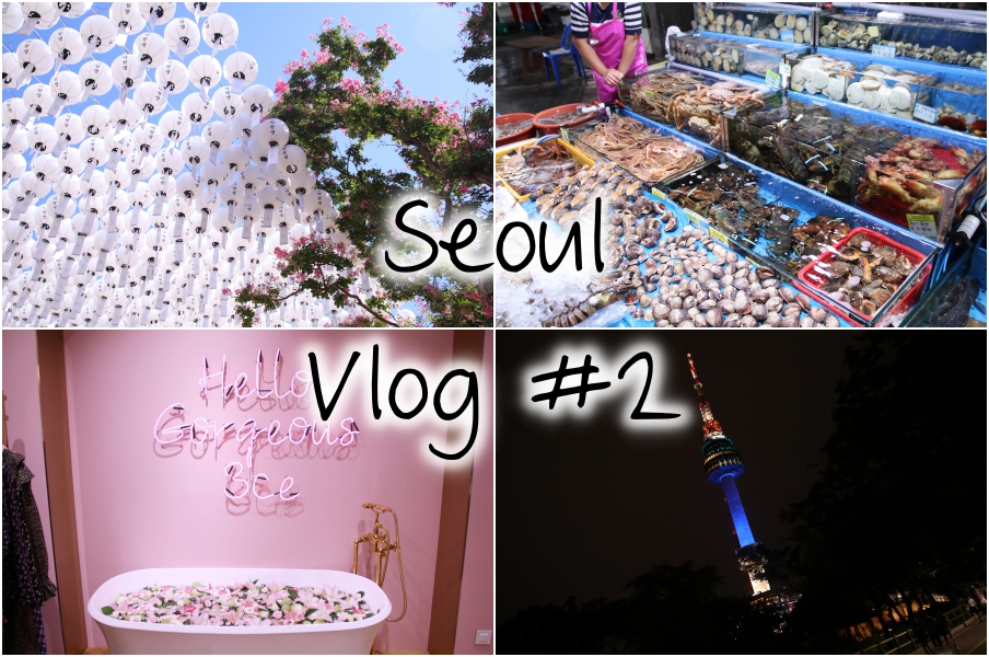 Seoul Vlog #2